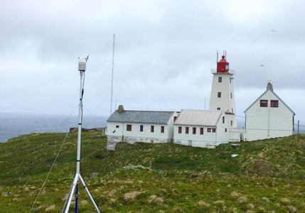 船舶气象站帮助科学家研究挪威岛上的濒危鸟类